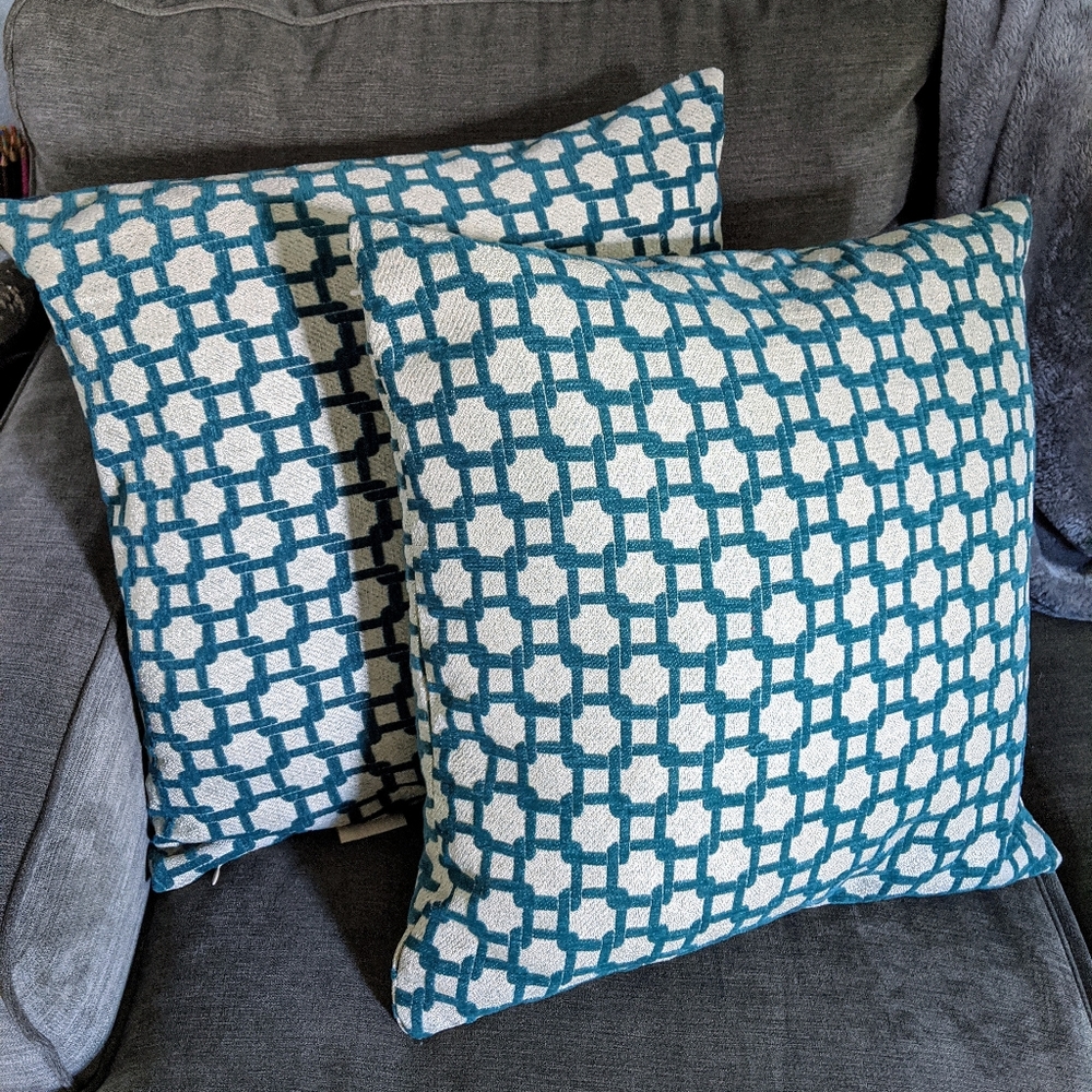 Set of 2 Throw Pillow Covers -inserts not included